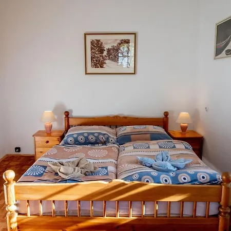 Guest house Chata Severka S Wellness Rokytnice v Orlickych Horach